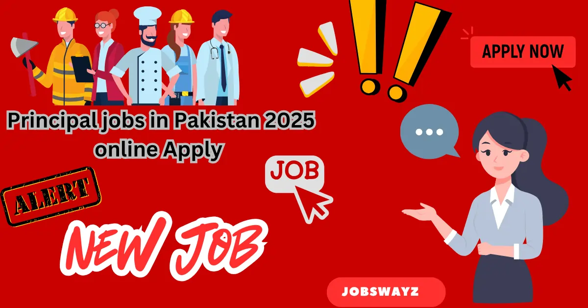 Principal jobs in Pakistan 2025