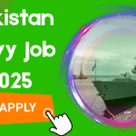 Navy Job