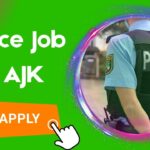 police job